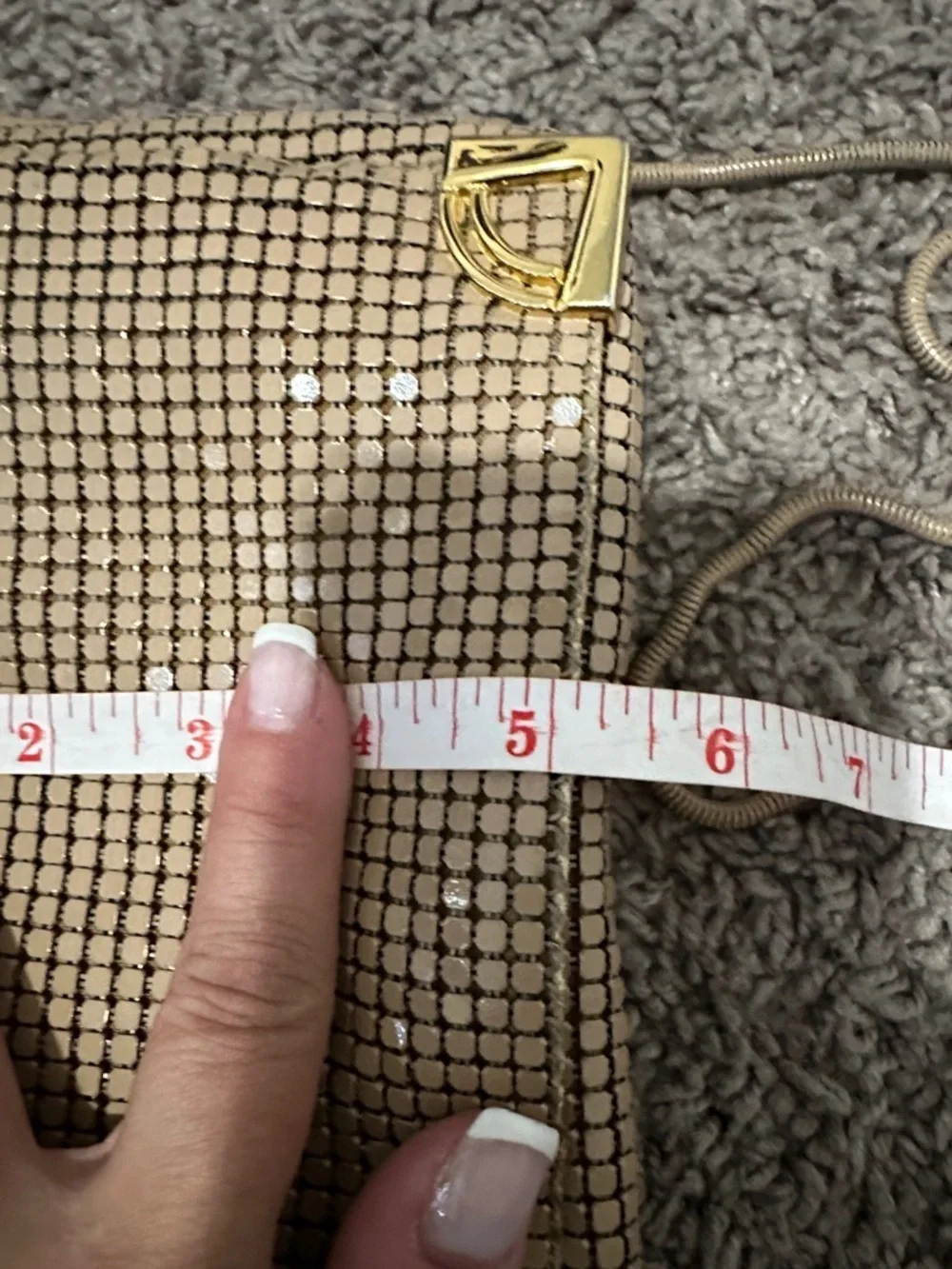 Metallic Beige Mesh Wristlet Clutch with Gold Accents